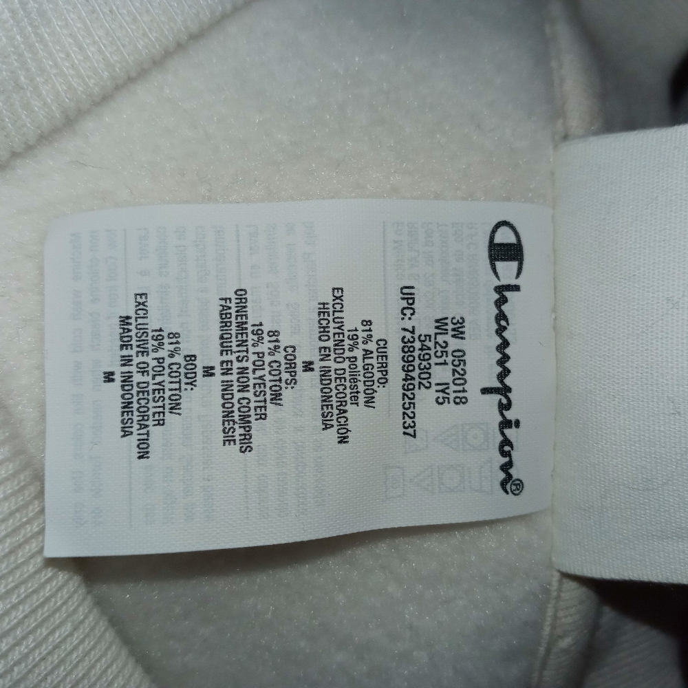 Champion Reverse Weave Colorblock Crew Neck - Picture 7 of 10